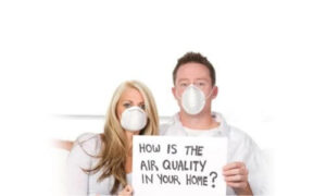 indoor air quality Wolfgang's